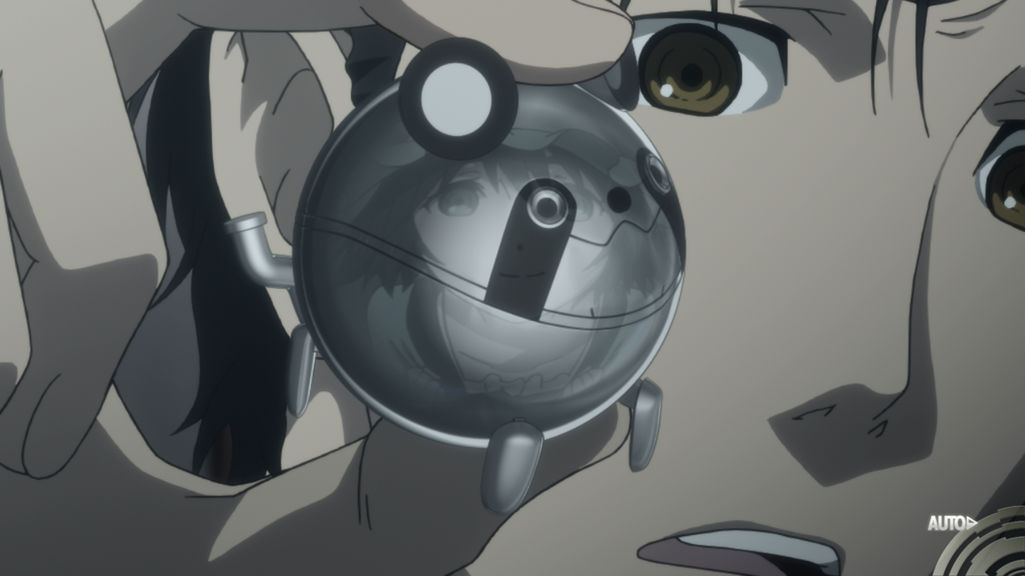 Close-up of a metal Upa with a Mayuri's face reflected on it.